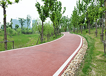 生態透水混凝土